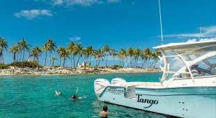 Romeo Foxtrot Caribbean