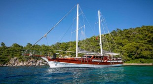 Santa Maria Turkey