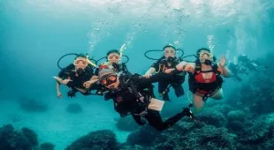 Sashalon Caribbean Virgin Islands (US/BVI), Caribbean Virgin Islands (US), Caribbean Virgin Islands (BVI)