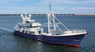 Scintilla Maris Caribbean, Central America, Northern Europe