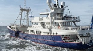 Scintilla Maris Caribbean, Central America, Northern Europe