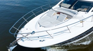 Sea Amber East Coast United States