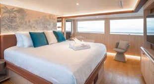 Sea Bear South East Asia