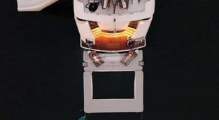 Sea Bear South East Asia