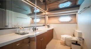 Sea Bear South East Asia