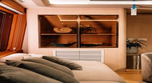 Sea Bear South East Asia