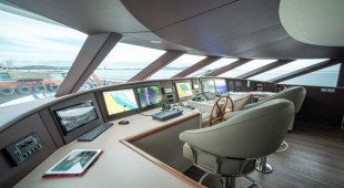 Sea Bear South East Asia