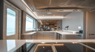 Sea Bear South East Asia