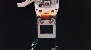 Sea Bear South East Asia