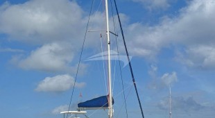 Sea Dancer Caribbean