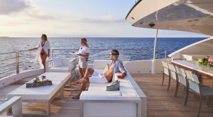 Sea Shell West Mediterranean