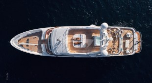 Sea Shell West Mediterranean