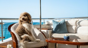 Second Love Caribbean