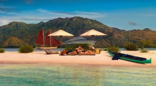 Si Datu Bua Indonesia