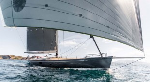 Silvertip West Mediterranean