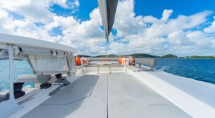 Soggy Doggy Caribbean