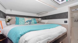 Soggy Doggy Caribbean