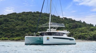 Soggy Doggy Caribbean