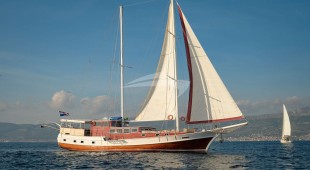 Sole East Mediterranean