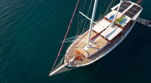 Sole East Mediterranean