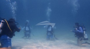Some Kind Of Wonderful Caribbean