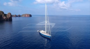 Songbird East Mediterranean