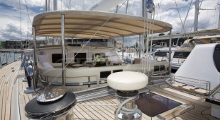 Songbird East Mediterranean