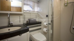 Songbird East Mediterranean