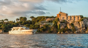 Stalca East Mediterranean