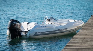 Stalca East Mediterranean