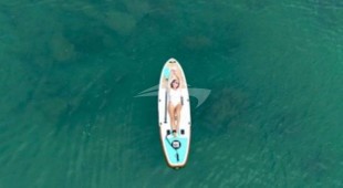 Stand By One Caribbean