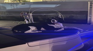 Stella Blue Caribbean Virgin Islands (US/BVI), Caribbean Virgin Islands (US), Caribbean Virgin Islands (BVI)