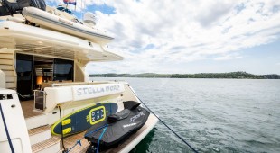 Stella D'oro East Mediterranean