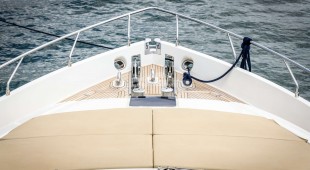 Stella D'oro East Mediterranean