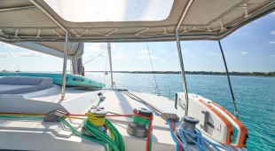 Stella Gazer Bahamas