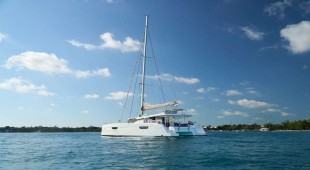 Stella Gazer Bahamas