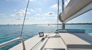 Stella Gazer Caribbean