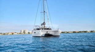 Stella Gazer Caribbean