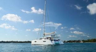 Stella Gazer Caribbean