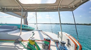 Stella Gazer Caribbean