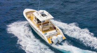 Sweet Virginia Caribbean, East Coast United States