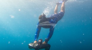 Sweet Virginia Caribbean, East Coast United States