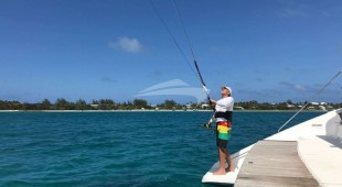 Tahina Caribbean, East Coast United States