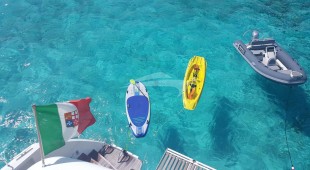 Taipan West Mediterranean