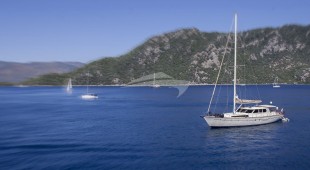 Tango Charlie East Mediterranean