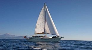 Tango Charlie Greece, Turkey