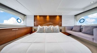 Tatou Caribbean, East Coast United States