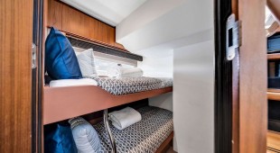 Tatou Caribbean, East Coast United States