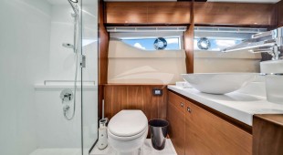 Tatou Caribbean, East Coast United States