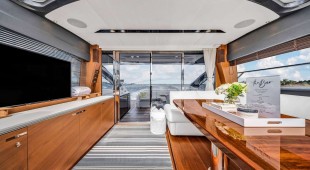 Tatou Caribbean, East Coast United States